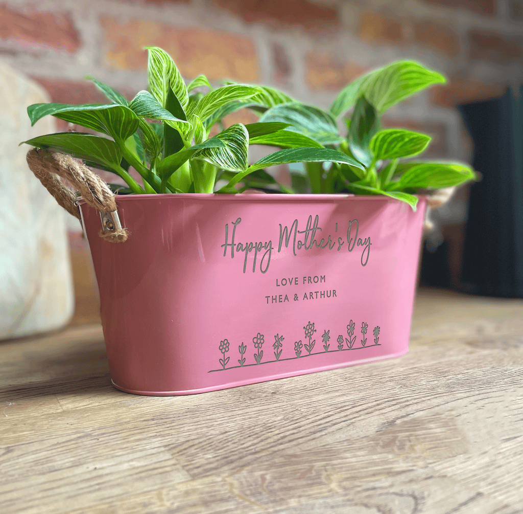 Planters for online mothers day