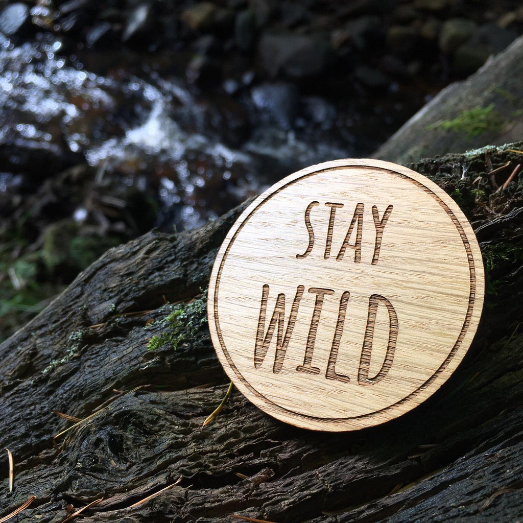 Stay Wild disc